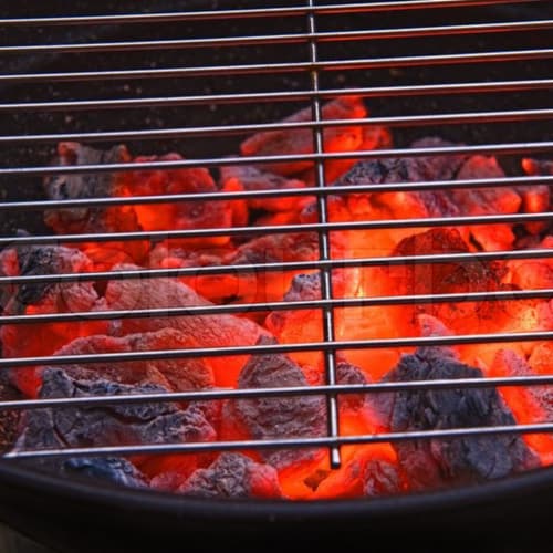B&B™ Charcoal Signature Low Smoke Oak Lump Grilling Barbecue Charcoal, 10 Pounds Perspective: left