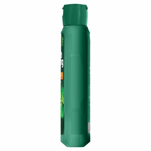 Irish Spring 24-Hour Fresh Original Body Wash Perspective: left