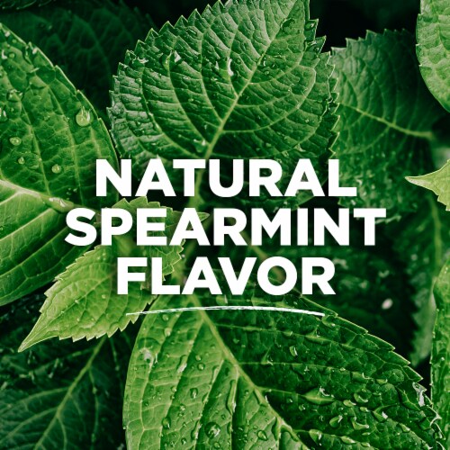 Tom's of Maine Whole Care Natural Toothpaste with Fluoride Spearmint Perspective: left