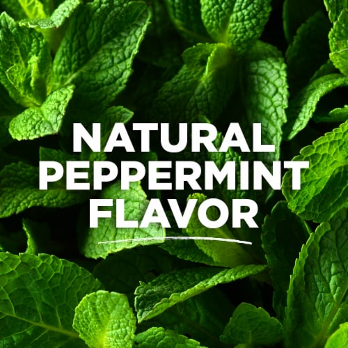 Tom's of Maine Whole Care Natural Toothpaste with Fluoride Peppermint Perspective: left