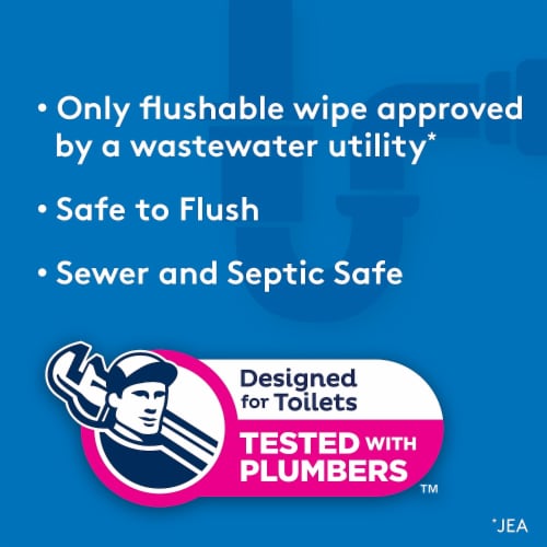 Cottonelle Fresh Care Flushable Wet Wipes Tub Adult Wet Wipes Perspective: left
