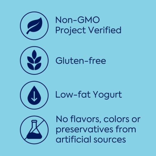 Dannon Low Fat Coffee Yogurt Cups Perspective: left