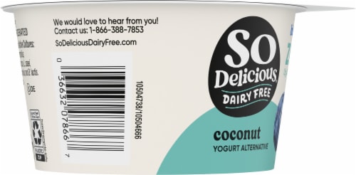 SO Delicious® Dairy Free Blueberry Coconut Milk Yogurt Perspective: left