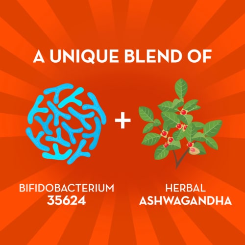 Align Probiotic for Women and Men Digestive De-stress Capsules Perspective: left