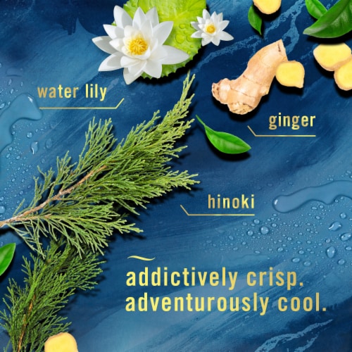 Febreze Odor Fighter Ocean Scent Small Spaces Air Freshener Perspective: left