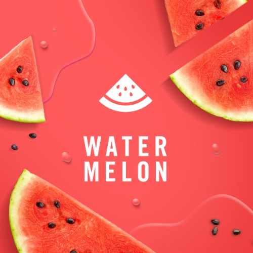 Febreze Odor-Fighting Fade Defy PLUG Air Freshener Watermelon Refills Perspective: left