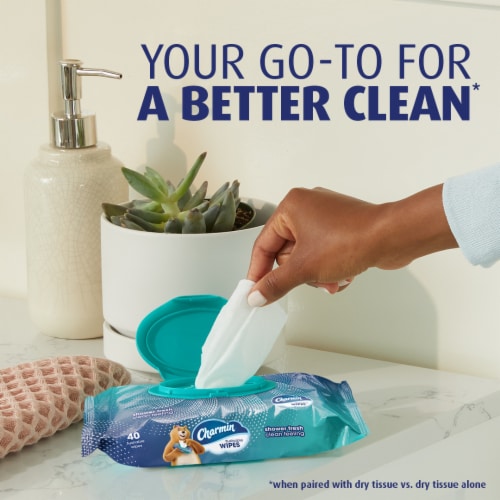 Charmin Flushable Wipes Perspective: left