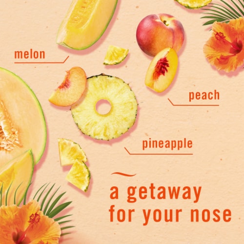 Febreze Odor-Fighting Hawaiian Aloha Scent Small Spaces Air Freshener Perspective: left