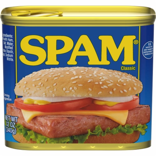Spam Classic Canned Meat Perspective: left
