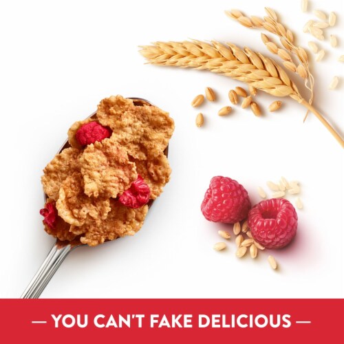 Kellogg's Special K Raspberry Breakfast Cereal Perspective: left