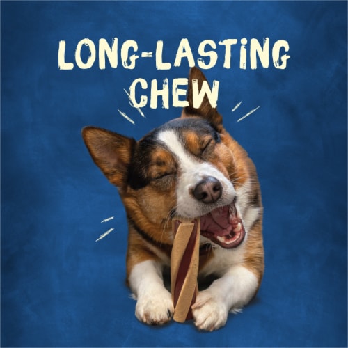 Purina busy beggin sales twisted