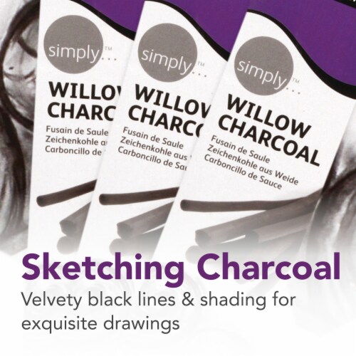 Daler-Rowney Simply Willow Charcoal - Black Perspective: left