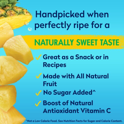 Dole® Canned Pineapple Chunks Fruit In 100% Pineapple Juice Perspective: left