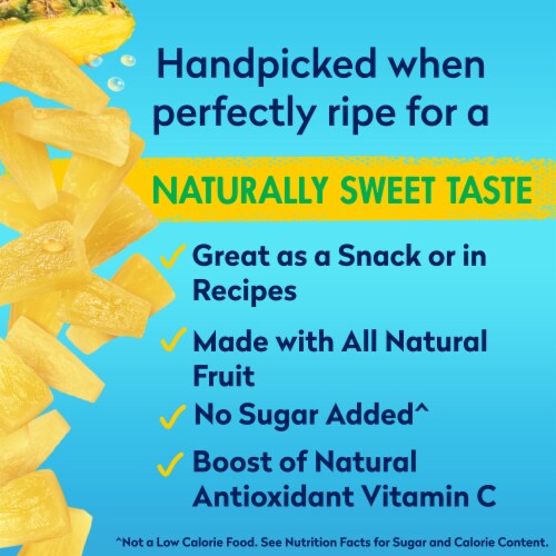 Dole® Canned Pineapple Tidbits Fruit In 100% Pineapple Juice Perspective: left