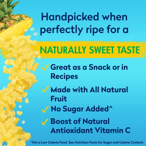 Dole® Canned Crushed Pineapple Fruit In 100% Pineapple Juice Perspective: left