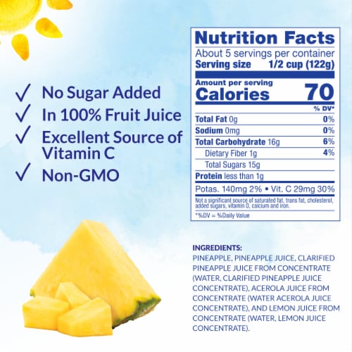 Dole® Pineapple Paradise Pineapple Chunks In 100% Fruit Juice Perspective: left