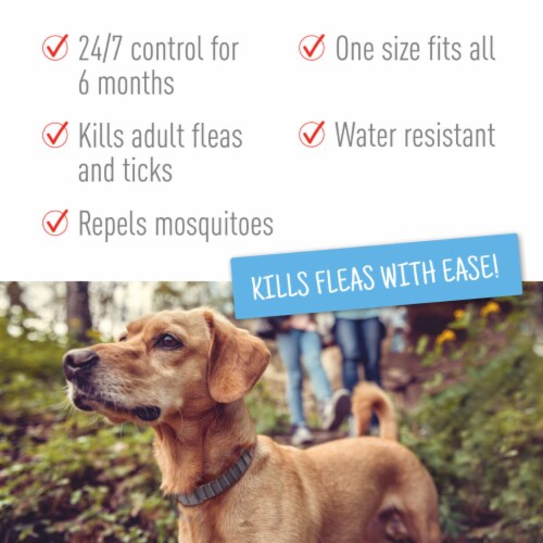 Adams Flea & Tick Collar For Dogs & Puppies Perspective: left