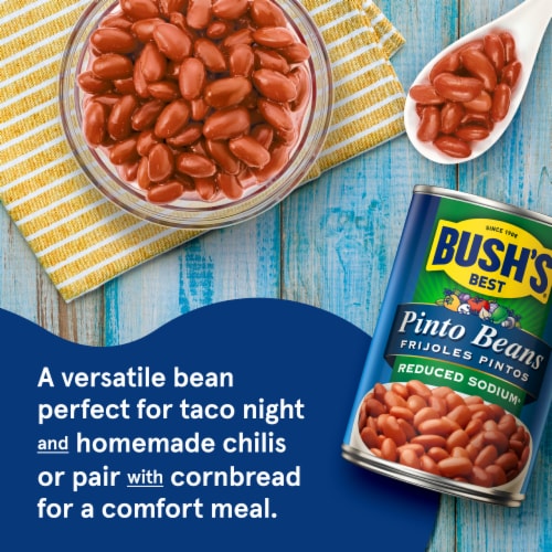 Bush's Reduced Sodium Pinto Beans 16 oz Perspective: left