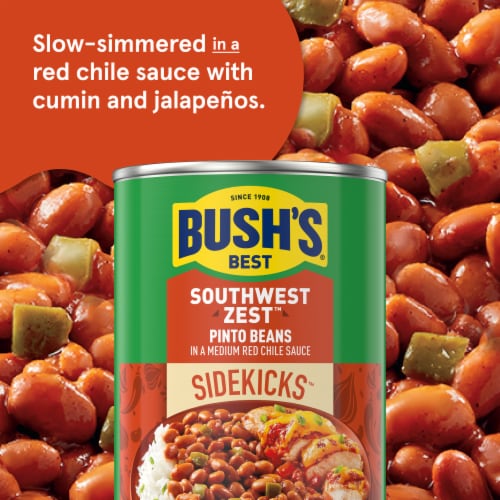 Bush's Southwest Zest Pinto Beans 15 oz Perspective: left