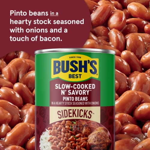 Bush's Sidekicks Slow-Cooked N' Savory Pinto Beans 15 oz Perspective: left