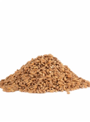 Bob's Red Mill Organic Farro Grain 24 oz Perspective: left