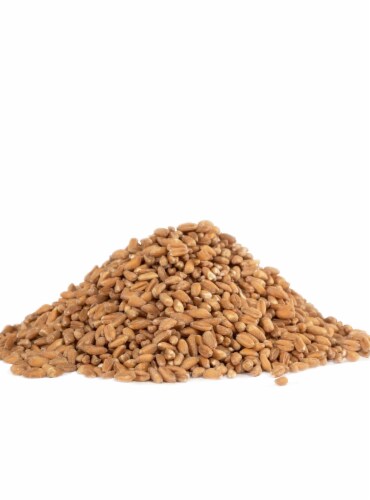 Bob's Red Mill Organic Farro Grain 24 oz Perspective: left