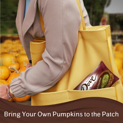Dove Promises Dark Chocolate Pumpkins Fall Halloween Candy Perspective: left