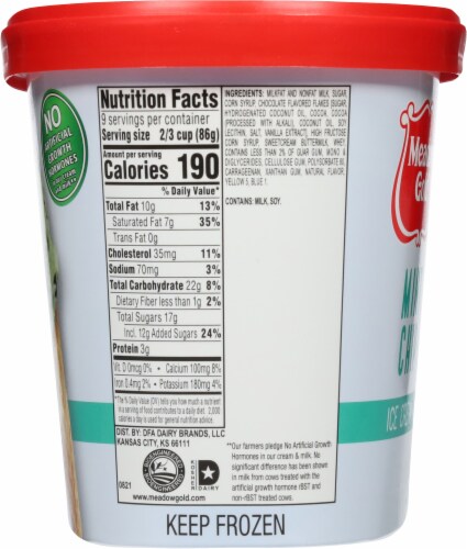 Meadow Gold® Mint Chocolate Chip Ice Cream Tub Perspective: left