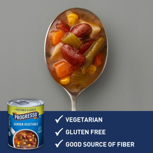 Progresso Vegetable Classics Garden Vegetable Canned Soup Perspective: left