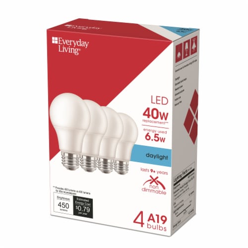 Everyday Living 6.5 Watt 40 Watt A19 LED Light Bulb Daylight 5000K 4 pk