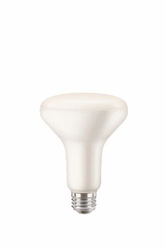 Everyday Living® 9-Watt (65-Watt) BR30 Reflector LED Light Bulb - Daylight (5000K) Perspective: left