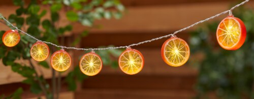 HD Designs Outdoors Fruit String Lights Perspective: left