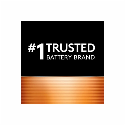 Duracell Rechargeable AAA Batteries Perspective: left