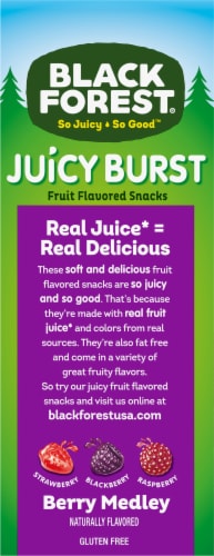 Black Forest® Fruit Medleys Berry Mix Pouch Pack FER02067 Perspective: left