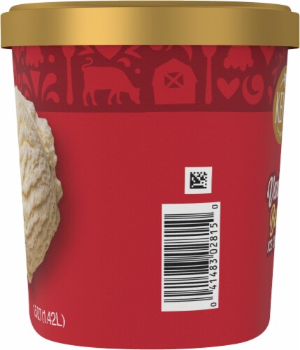 Kemps® Old Fashioned Vanilla Bean Ice Cream Tub Perspective: left