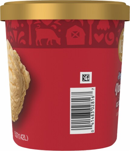 Kemps® Old Fashioned French Vanilla Ice Cream Tub Perspective: left