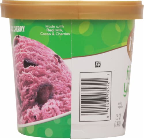 Kemps Black Jack Cherry Frozen Yogurt Tub Perspective: left