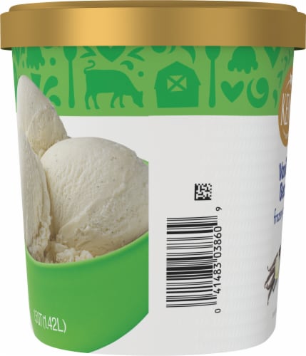 Kemps® Vanilla Bean Frozen Yogurt Tub Perspective: left