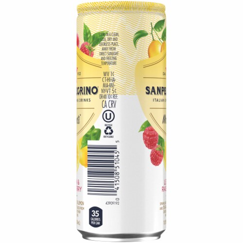 S. Pellegrino® Momenti™ Lemon and Raspberry Flavored Sparkling Water Perspective: left