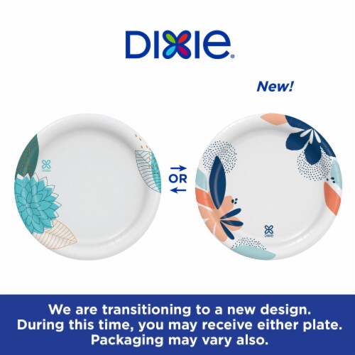 Dixie Paisley Splash Plates Perspective: left