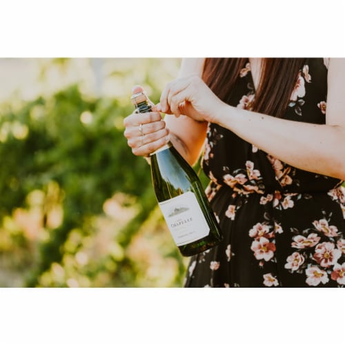 Ste. Chapelle Soft White Chateau Series Blend Wine Perspective: left