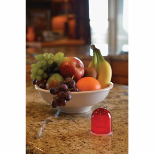 Rescue Reusable Fruit Fly Trap (2-Pack) FFTR2-SF5 Perspective: left