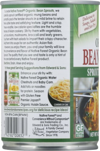 Native Forest® Organic Mung Bean Sprouts Perspective: left