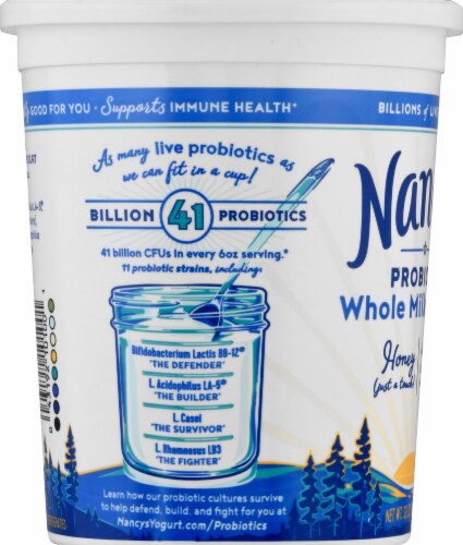 Nancy's Plain With Honey Probiotic Whole Milk Yogurt Tub Perspective: left