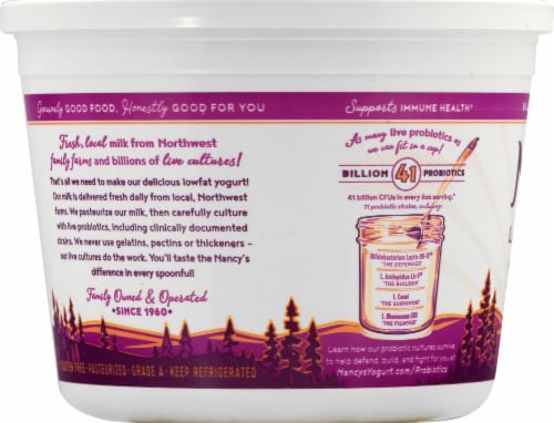 Nancy's Plain Lowfat Probiotic Yogurt Perspective: left