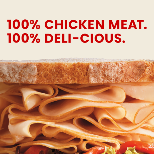 Hillshire Farm Ultra Thin Sliced Rotisserie Seasoned Chicken Breast Sandwich Meat Perspective: left