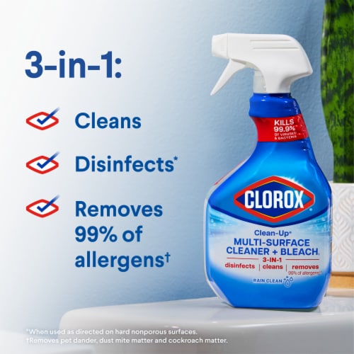 Clorox Clean-Up All Purpose Cleaner Rain Clean with Bleach Spray, 32 fl oz  - Kroger