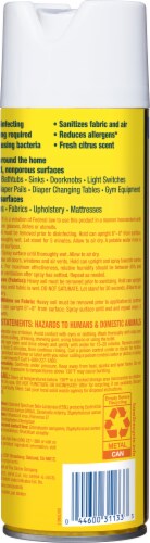 Clorox 4 in 1 Citrus Disinfectant Spray Perspective: left