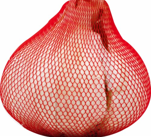 Melissa'a Elephant Garlic Bulb Perspective: left