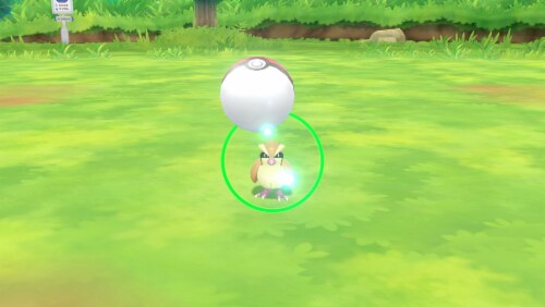 Pokemon Let's Go Eevee! (Nintendo Switch) Perspective: left